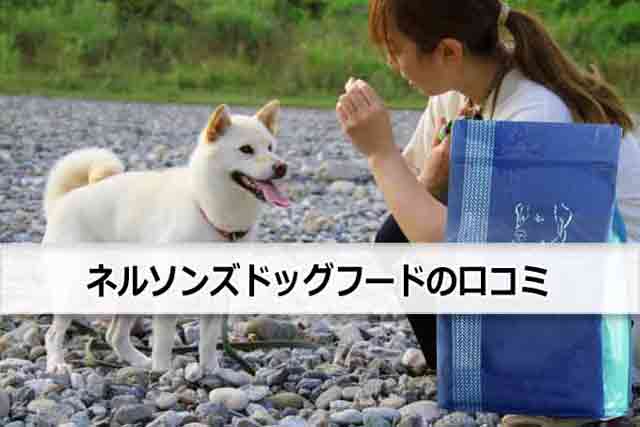 食いつきが好評のネルソンズドッグフードの口コミ