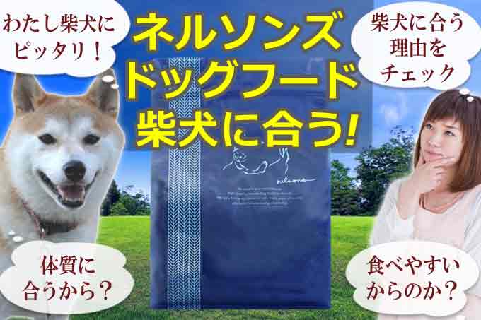 ネルソンズドッグフードが柴犬におすすめできる５つの理由！