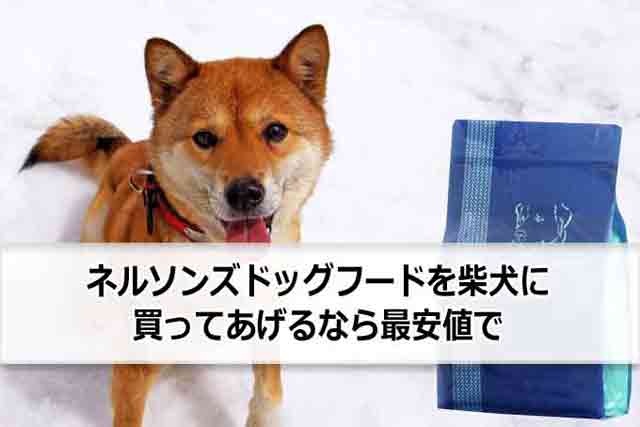 ネルソンズドッグフードを柴犬に買ってあげるなら最安値で！