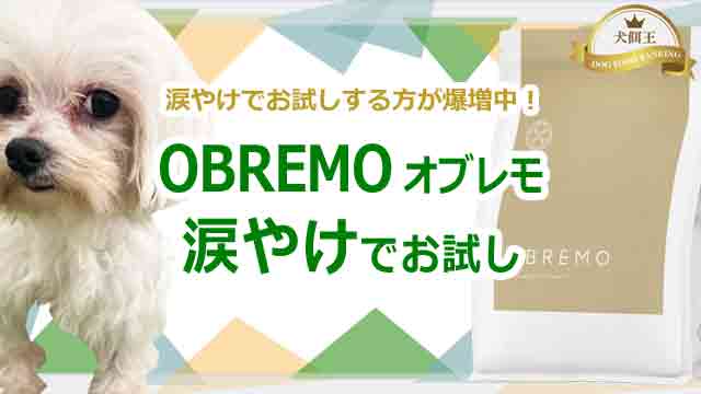 OBREMO(オブレモ)を涙やけでお試しする方が爆増中のワケ!