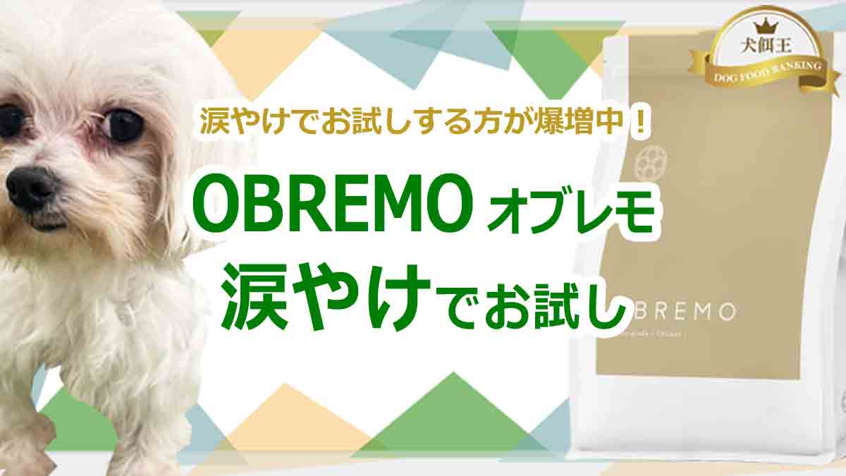 OBREMO(オブレモ)を涙やけでお試しする方が爆増中のワケ!