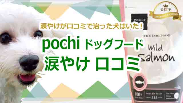 pochiドッグフードで涙やけが口コミで治った犬はいた!