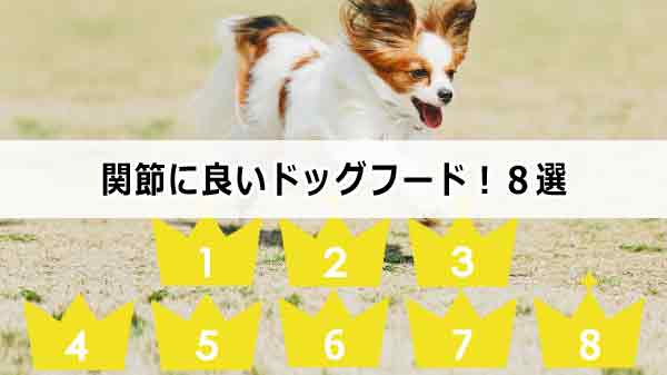 膝蓋骨脱臼・パテラに良いドッグフード人気８選
