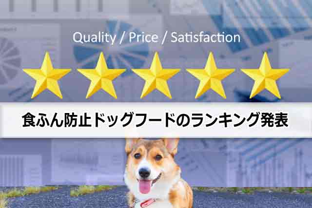 食ふん防止ドッグフードのおすすめ！市販を含めランキング選考基準