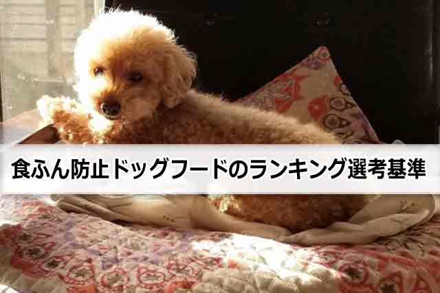 食ふん防止ドッグフードの市販を含めたランキング選考条件