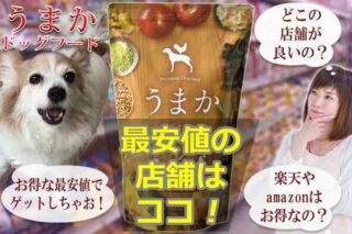 うまかドッグフードの店舗はココ！最安値の販売店で買おう！