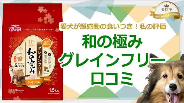 和の極みグレインフリーの口コミで愛犬が超感動の食いつき!私の評価